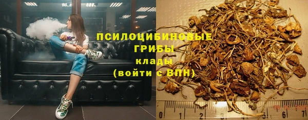 гидра Лагань