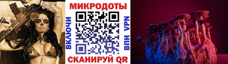 Купить  Орск  Псилоцибиновые грибы мицелий 